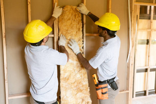 Best Insulation Replacement Services  in Sumiton, AL